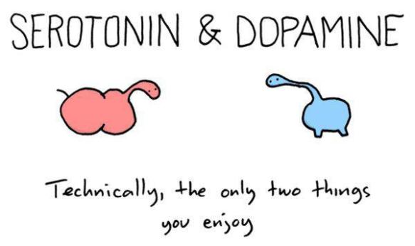 serotonin_dopamine